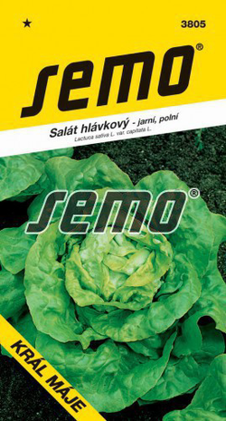 SEMO Bio - Salát hl. KRÁL MÁJE 1