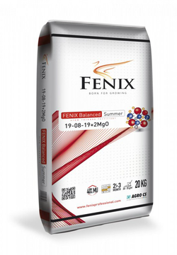 AGRO CS FENIX Balanced Summer 19-08-19+2MgO 20 kg