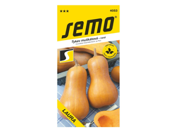 Tykev muškátová Laura