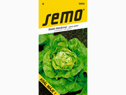 Salát KRÁL MÁJE 1