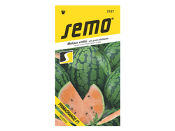 Meloun vodní Primaorange F1