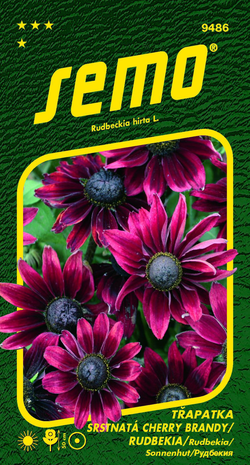 SEMO Třapatka srstnatá (rudbékie) Cherry Brandy