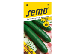 Okurka salátová Saladin F1