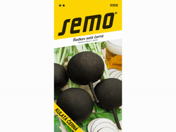 Ředkev KULATÁ ČERNÁ