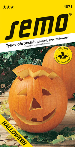 SEMO Tykev Gran Gigante