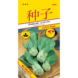SEMO Čínské zelí Cash F1 (typ Pak-Choy)