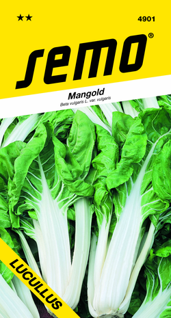 SEMO Mangold LUCULLUS