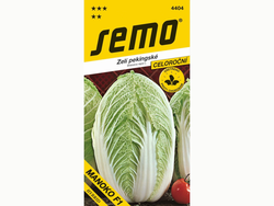 Pekingské zelí MANOKO F1