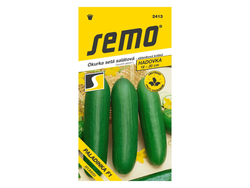 Okurka salátová Paladinka F1