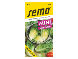 Salát římský Little Gem