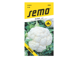 Květák raný Opaal