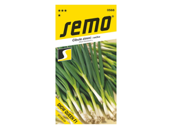 Cibule zimní celoroční sečka Snow queen F1