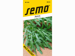 Roketa setá WILD ROCKET
