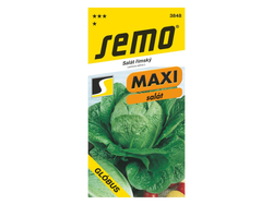 Salát římský Glóbus