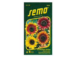 Slunečnice roční Autumn Beauty