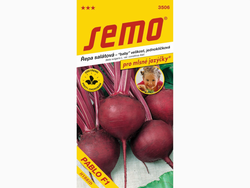 Řepa salátová PABLO F1