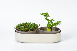 Plastia Velká farma Microgreens+Regrow - slonová kost s kávovou sedlinou