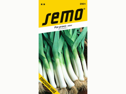 Pór STAROZAGORSKI KAMUŠ