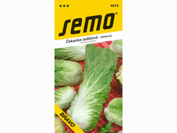 Čekanka salátová BRAVO Pan Di Zuc.